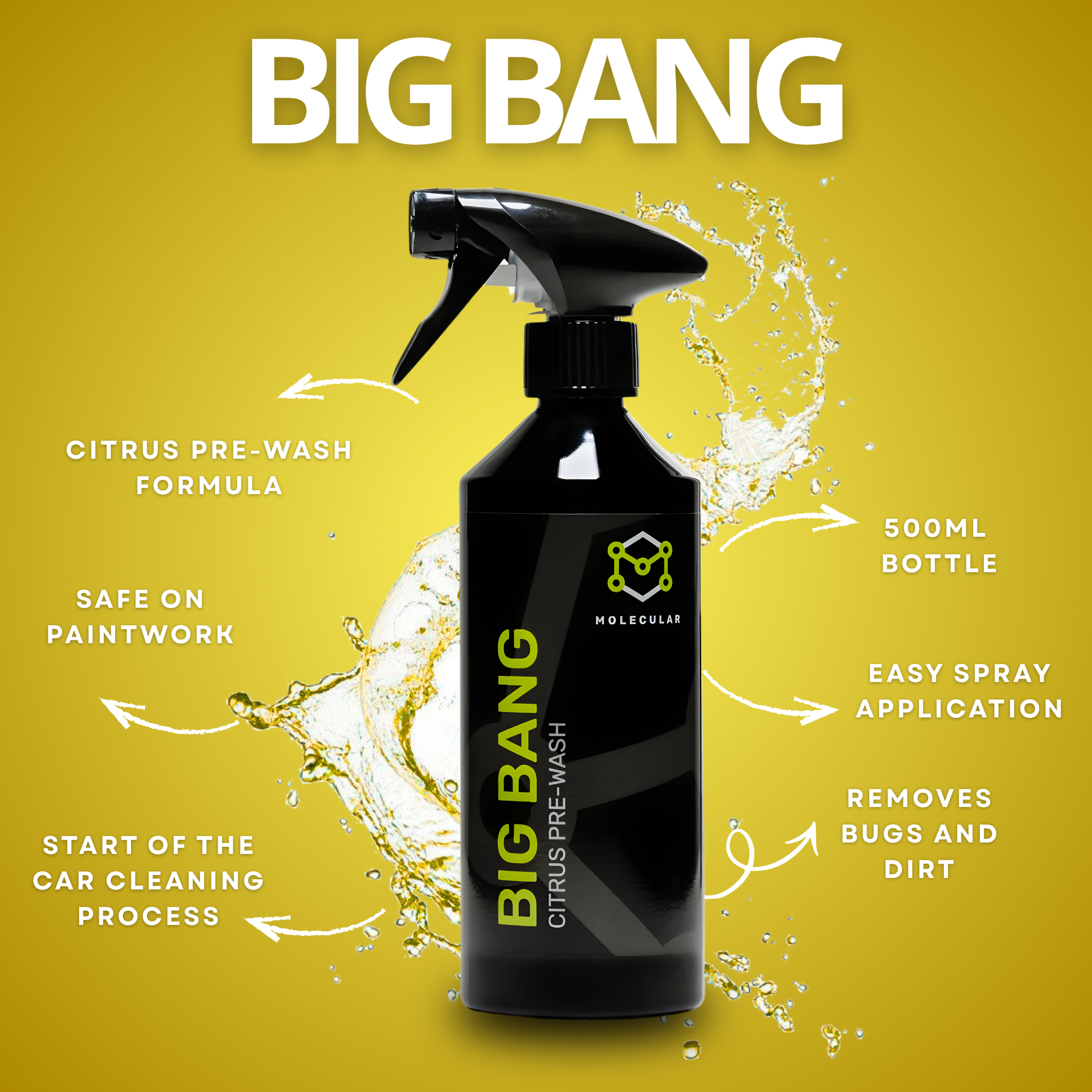 CLEAN CABZ – Gold Car Cleaning Kit Bundle + FREE Detailing Kit!